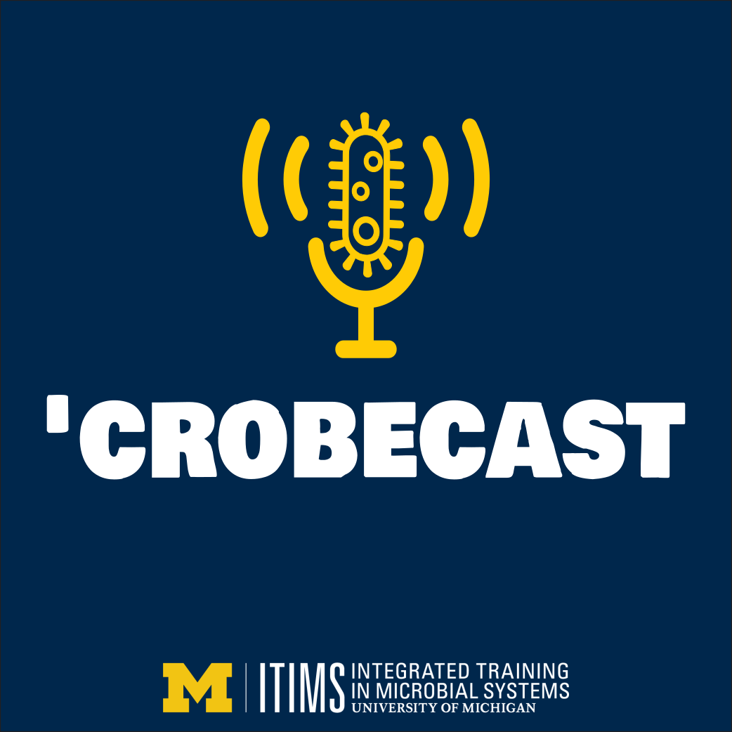 'Crobecast ITiMS Podcast Logo